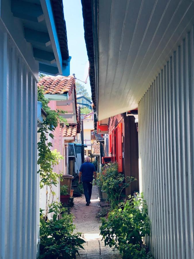 Chambres D'Hotes Any-Jean Louis A Mios Dış mekan fotoğraf